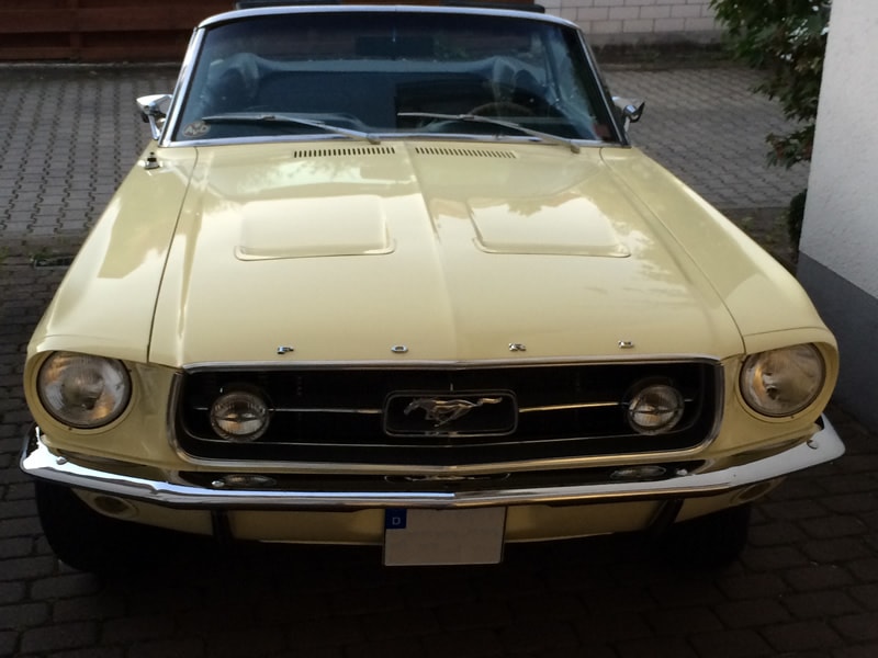 Ford Mustang Bild 3